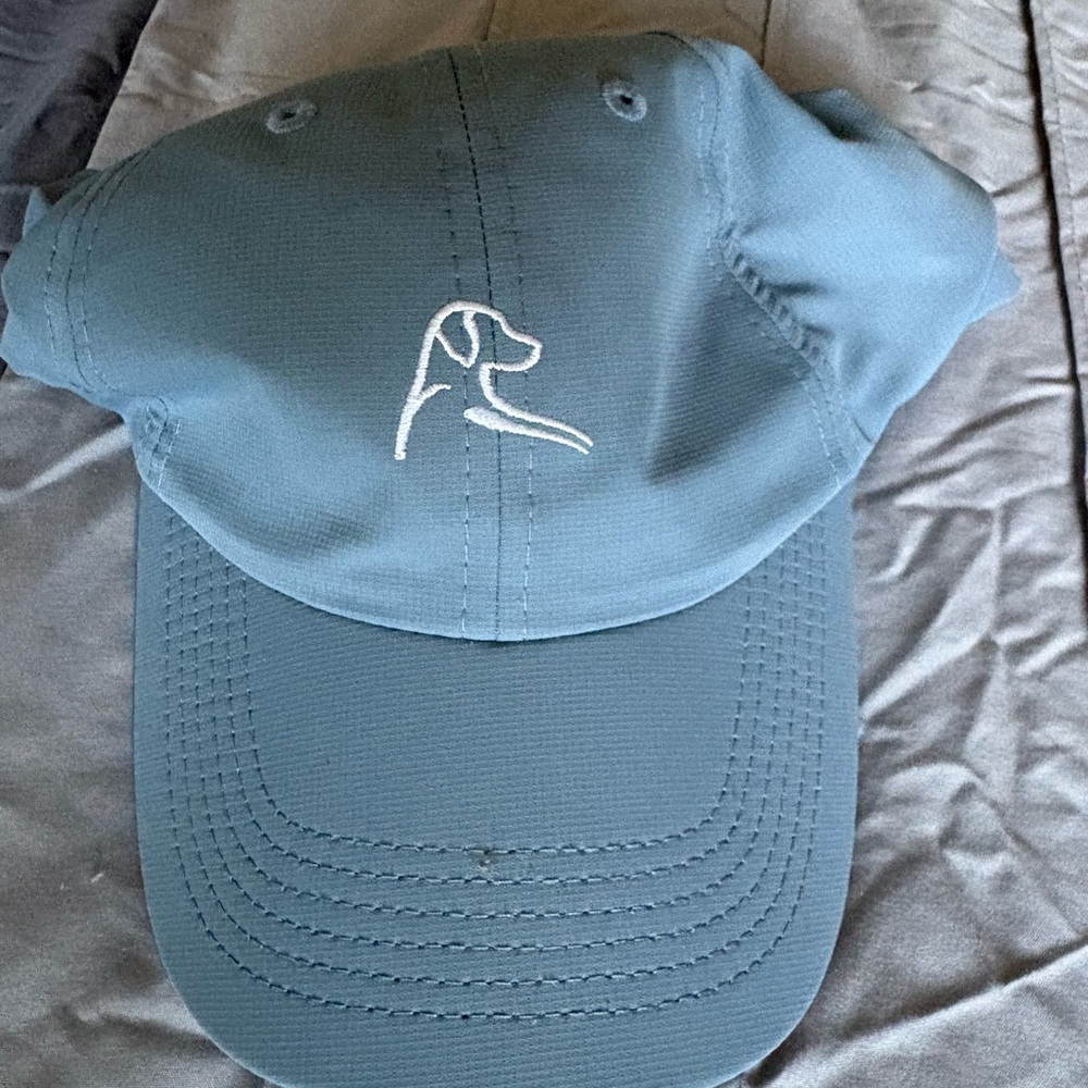 Blue Dog Outline Embroidered Dad Hat